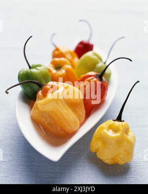 Kleine Peperoni Stockfoto