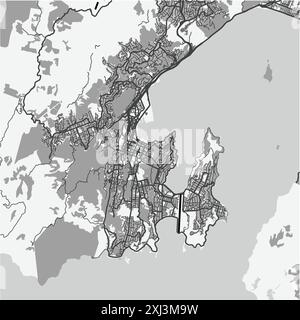 Karte von Wellington in Neuseeland in Graustufen. Enthält mehrschichtigen Vektor mit Straßen, Wasser, Parks usw. Stock Vektor