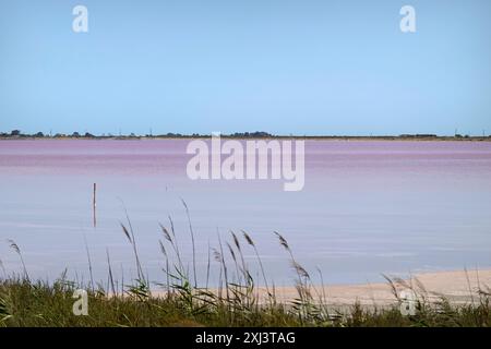 Frankreich, Camargue, Aigues Mortes, Salzwannen Stockfoto