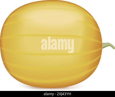 Feenwassermelone. Citrullus lanatus. Obst und Gemüse. Isolierte Vektordarstellung. Stock Vektor