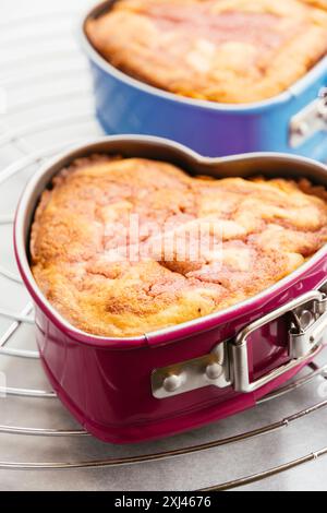 Zwei Erdbeer-Pfund-Kuchen in Springform-Pfannen, die auf einem Kühlregal gekühlt werden. Stockfoto