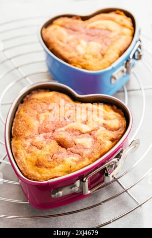 Zwei Erdbeer-Pfund-Kuchen in Springform-Pfannen, die auf einem Kühlregal gekühlt werden. Stockfoto