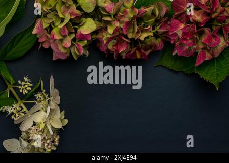 Vintage bunte Hortensie Blume, strukturiertes Muster Stockfoto