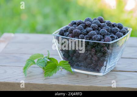 Brombeere in Glasschale. Reife Schwarzberrys in Glasschale mit Blättern auf rustikalem Holztisch im Garten, Nahaufnahme, hohe Auflösung. Stockfoto