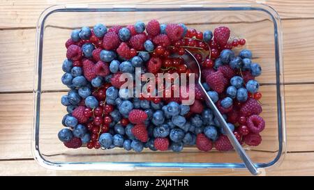 Heidelbeeren, Himbeeren und rote Johannisbeeren in einer Glasschale, Bayern, Deutschland Stockfoto