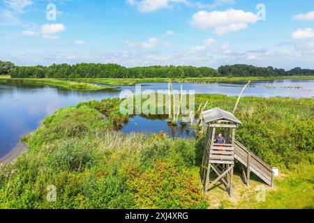 Luftaufnahme, Drohnenfoto: Mann auf einem Aussichtsturm zur Vogelbeobachtung an einem See in Menzlin, Naturpark Flusslandschaft Peenetal Stockfoto