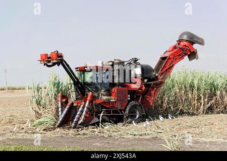 Camagueey, Provinz Camagueey, Kuba, Zentralamerika, große landwirtschaftliche Maschine, die Zuckerrohr auf einem Feld schneidet, Greater Antilles, Karibik, Amerika Stockfoto