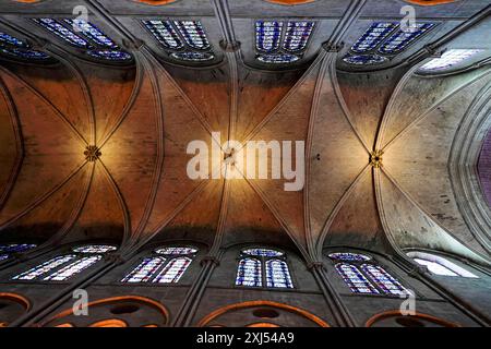 Deckenblick, Kathedrale Notre-Dame de Paris, Ille de la Cite, 4. Arrondissement, Paris, Frankreich, Europa, beeindruckende gotische Decke einer Kathedrale Stockfoto