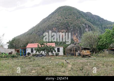 Nationalpark Valle de Vinales, Vinales, Provinz Pinar del Rio, Kuba, Grosse Antillen, Karibik, Mittelamerika, ein Haus vor einem Berg Stockfoto