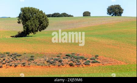 Ländliche Gegend Nordspaniens Stockfoto