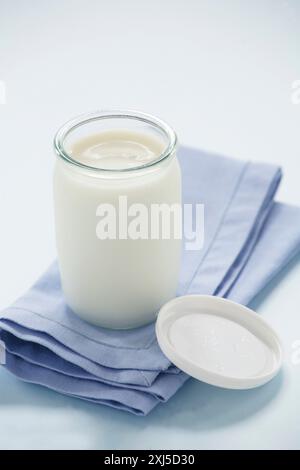 Einfacher Joghurt in einem Glastopf Stockfoto