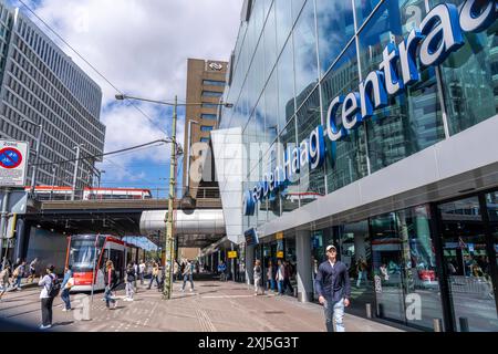 ÖPNV Anbindung des Hauptbahnhofs von den Haag, Centraal Station, Rijnstraat, Innenstadt, Straßenbahnlinien, Niederlande, den Haag Centraal *** öffentliche Verkehrsverbindungen zum Haag Hauptbahnhof, Hauptbahnhof, Rijnstraat, Stadtzentrum, Straßenbahnlinien, Niederlande, Haager Centraal Stockfoto