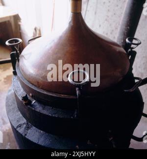 Immer noch zum Destillieren von Mirabellen-Pflaumen-Eau-de-vie Stockfoto