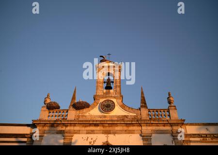 Storchnester, Nest, Störche nisten auf Stadtrundgang, Torbogen, Arco da Vila, Altstadt, Faro, Algarve, Abendlicht, Portugal Stockfoto