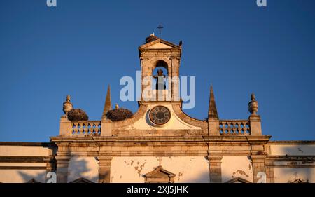 Storchnester, Nest, Störche nisten auf Stadtrundgang, Torbogen, Arco da Vila, Altstadt, Faro, Algarve, Abendlicht, Portugal Stockfoto