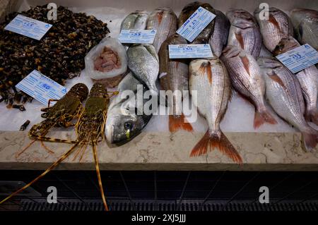 Fischtheke, frischer Fisch, Ausstellung von frischem Fisch, Flusskrebse, Muscheln, Brassen, Barsch, Markthalle, Mercado Municipal de Lagos, Lagos, Algarve, Portugal Stockfoto