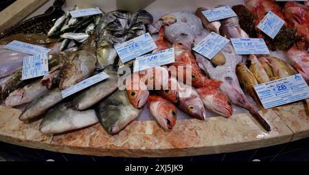 Fischtheke, frischer Fisch, Präsentation von frischem Fisch, Gurnard, Seeteufel, Brasse, Wolfsbarsch, ray, Markthalle, Mercado Municipal de Lagos, Lagos, Algarve Stockfoto