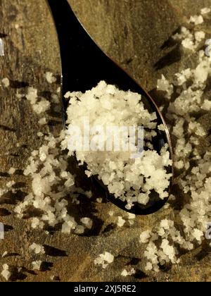 Löffel Fleur de Sel Meersalz aus Guérande Stockfoto