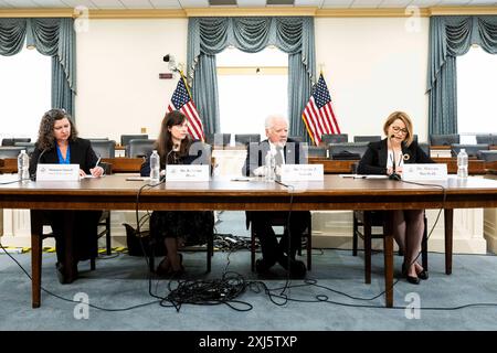 16. Juli 2024, Washington, District of Columbia, USA: SHANNON SIMRELL, Senor Policy Analyst, KRISTINA HOOK, Assistenzprofessorin für Konfliktmanagement, School of Conflict Management, Friedensförderung und Entwicklung, Kennesaw State University, EUGENE STAKHIV, pensionierte Dozentin an der Johns Hopkins University und MARYNA BAYDYUK, Präsidentin und Exekutivdirektorin von United Help Ukraine, bei einem von der Kommission für Sicherheit und Zusammenarbeit in Europa (alias U.S. Helsinki Commission) organisierten Briefing zum Thema "Russlands Ökozid in der Ukraine: Umweltzerstörung und die Notwendigkeit der Rechenschaftspflicht" in t Stockfoto