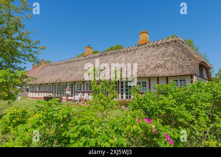 Insel Skaro, Skaroe, reetgedecktes Fachwerkhaus, dänische Südsee, Baumgruppe, Idyll, Sydfyn, Südfünen, Dänemark Stockfoto