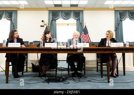 (l.-R.) Shannon Simrell, Senor Policy Analyst, Kristina Hook, Assistenzprofessorin für Konfliktmanagement, School of Conflict Management, Friedensförderung und Entwicklung, Kennesaw State University, Eugene Stakhiv, pensionierte Dozentin an der Johns Hopkins University und Maryna Baydyuk, Präsidentin und Exekutivdirektorin von United Help Ukraine, bei einem von der Kommission für Sicherheit und Zusammenarbeit in Europa (auch bekannt als Helsinki-Kommission der USA) organisierten Briefing zum Thema "Russlands Ökozid in der Ukraine: Environmental Destruction and the need for Accountability“ im US Capitol in Washington, DC (Foto: Michael br Stockfoto