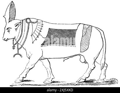 APIs der heilige Stier von Memphis, irdische Verkörperung des Gottes Ptah, ägyptische Mythologie, historische Illustration 1880, Orient Stockfoto