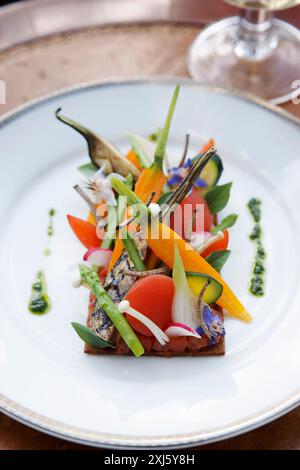 Toast mit gegrilltem Neugemüse Stockfoto