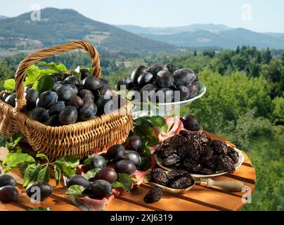 Pflaumen aus Agen mit den Bergen im Hintergrund Stockfoto