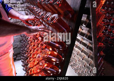 Jemand, der die Flaschen Roséwein in einem Keller dreht Stockfoto