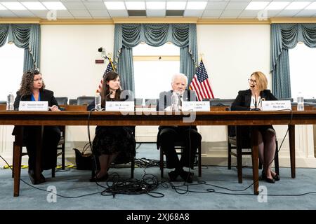 (L bis R) Shannon Simrell, Senor Policy Analyst, Kristina Hook, Assistenzprofessorin für Konfliktmanagement, School of Conflict Management, Friedensförderung und Entwicklung, Kennesaw State University, Eugene Stakhiv, pensionierte Dozentin an der Johns Hopkins University und Maryna Baydyuk, Präsidentin und Exekutivdirektorin von United Help Ukraine, bei einem von der Kommission für Sicherheit und Zusammenarbeit in Europa (auch bekannt als Helsinki-Kommission der USA) organisierten Briefing zum Thema "Russlands Ökozid in der Ukraine: Umweltzerstörung und die Notwendigkeit der Rechenschaftspflicht im US-Kapitol in Washington, DC, organisiert von Stockfoto