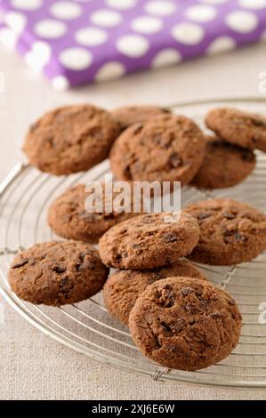 Schokoladen-Plätzchen Stockfoto