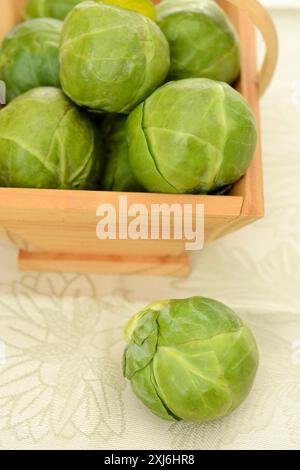 Rosenkohl in einen kleinen Korb aus Holz Stockfoto