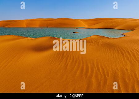 Wüstensee in Sanddünen nach Regen, Saudi-Arabien Stockfoto