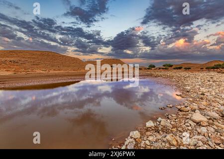 Wüstenlandschaft nach Regen, Saudi-Arabien Stockfoto