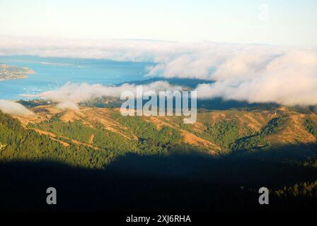 Nebel rollt über die Hügel des Mount Tamalpais im Marin County, Kalifornien Stockfoto