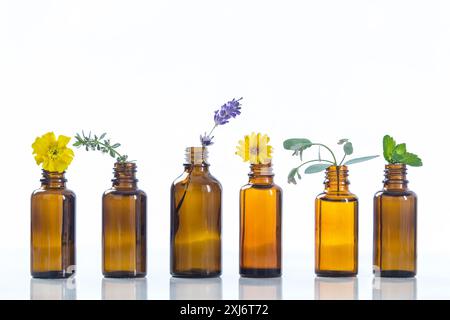 Sortiment an kleinen Flaschen ätherischen Öls Stockfoto