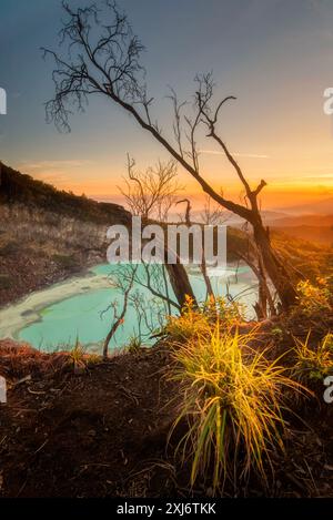 Kawah Putih Krater See (Weißer Krater) auf dem Mount Patuha, Ciwidey bei Bandung, West Java, Indonesien Stockfoto