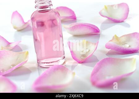 Rosenblätter und eine kleine Flasche Rosenwasser auf weißem Hintergrund Stockfoto