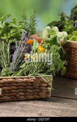 Verschiedene aromatische Kräuter auf Holztisch vor verschwommenem Hintergrund, Nahaufnahme Stockfoto