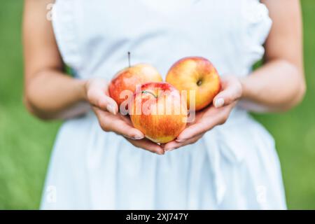 7/8-Ansicht von Mädchen, dass frisch gepflückt Äpfel in den Händen Stockfoto
