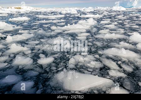 Eisformationen, Cierva Cove, Antarktis, Dienstag, 21. November 2023. Foto: David Rowland / One-Image.com Stockfoto