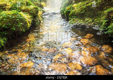 Wasserfluss über den Felsen im tropischen Garten Stockfoto