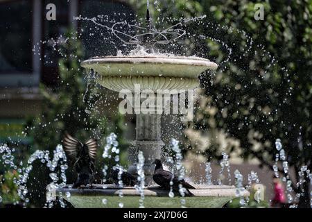 Nicht exklusiv: ODESA, UKRAINE - 13. JULI 2024 - Tauben bleiben an einem heißen Sommertag in Odesa, Süd-Ukraine, an einem Brunnen. Stockfoto