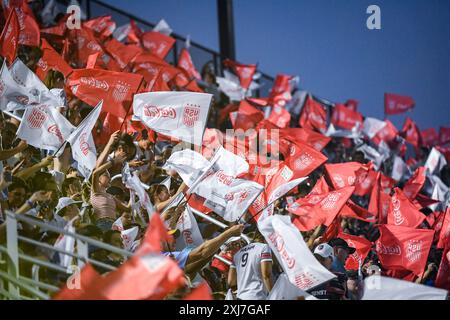 Washington, Usa. Juli 2024. District of Columbia, USA, 16. Juli 2024: Fans wehen Flaggen während der internationalen Freundschaft zwischen den Vereinigten Staaten und Costa Rica im Audi Field in Washington, DC, USA (NUR REDAKTIONELLE VERWENDUNG). (Rebekah Wynkoop/SPP) Credit: SPP Sport Press Photo. /Alamy Live News Stockfoto