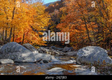 Herbstlaub und Felsbrocken entlang des Rocky Broad River in der Nähe des Chimney Rock State Park in Lake Lure, North Carolina. (USA) Stockfoto