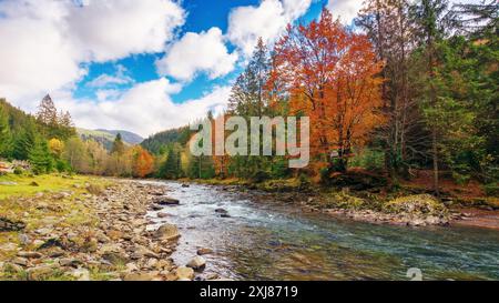 der fluss fließt durch das Tal. Gemischter Wald in bunten Laub. Naturkulisse im Herbst. Berglandschaft der ukraine. Bewölkt Stockfoto