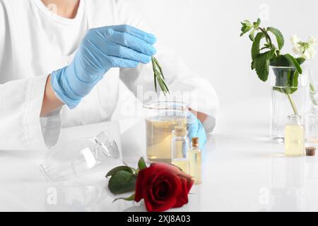 Aromatherapeutikum. Wissenschaftler, der ätherische Öle am weißen Tisch im Labor entwickelt, Nahaufnahme Stockfoto