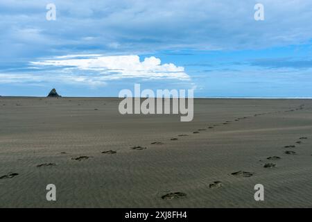 Schwarzer Sand am Westküstenstrand mit Fußstapfen, die in Richtung Meer bei Karekare Neuseeland führen. Stockfoto