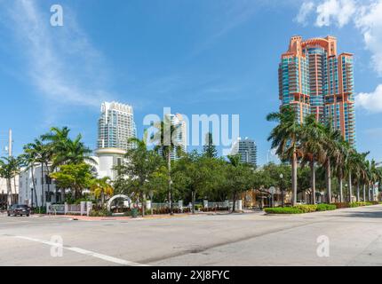 Üppige Bäume und Palmen an der Ecke der Stadt Miami mit Hochhäusern und blauem Himmel background.in USA. Stockfoto