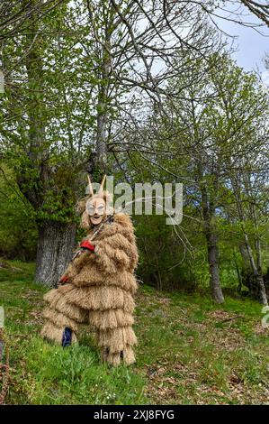 Eine traditionelle Maske aus Lazarim, Portugal, die aufwändig aus Holz geschnitzt wurde, symbolisiert das reiche kulturelle Erbe der Region. Diese Masken stehen im Mittelpunkt des Karnevals von Lazarim, der in alten heidnischen Ritualen verwurzelt ist, die das Ende des Winters und die Ankunft des Frühlings feiern und die tiefe Verbindung der Gemeinde zu ihren historischen Traditionen demonstrieren. Stockfoto